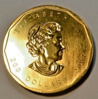Canada 2007 Maple Leaf 1 oz.  $200.  00 bullion coin 31.  11 grams 3