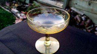 Lancaster Glass Yellow Etched 3½ " Sherbet