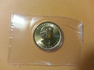 2020 1/4 Oz Canadian Gold Maple Leaf Coin (bu) W/ Protective Seal