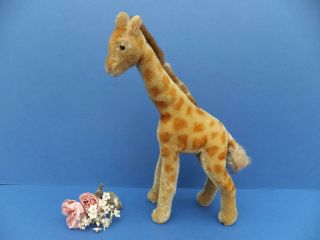 10.  5 " 26.  5 Cm Vintage Antique German Steiff Giraffe Toy Shaded Mohair Fur Bear