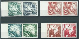 Monaco,  1955,  Birds,  Colour Proofs,  Mnh,  Not Listed