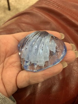 Light Cobalt Blue Glass Clam Shell Seashell Glass Paperweight Illuminations