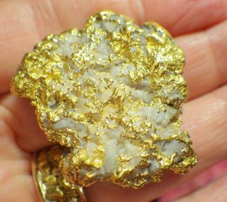 Gold Nugget Alaska Natural Placer 55.  5 Grams Porcupine Creek Hi Purity 92,