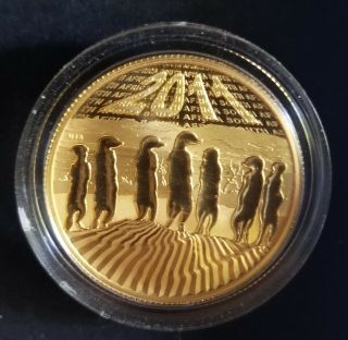 2011 Natura 1/2 Oz 999.  9 Gold South African " Meerkat Families " Coin Gem Proof