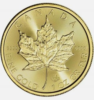 Two 2020 Canada Gold Maple Leaf (1 Oz $50 X 2)