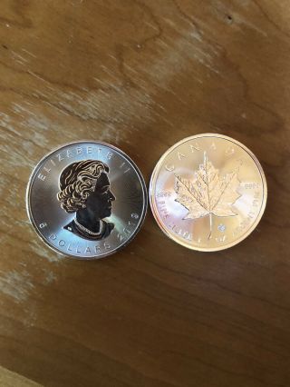 Roll Of 25 - 2019 1 Oz Canadian Silver Maple Leaf.  9999 Fine $5 Coin Bu