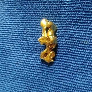 The Blob 20.  3 Gram Gold Nugget High Purity