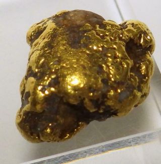 Gold Nugget Alaskan 10.  451 Grams Natural Placer Slate Creek High Purity