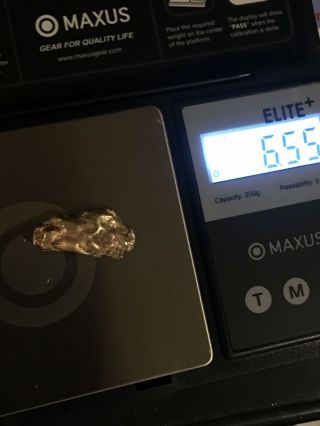 Gold Nugget.  6.  5 Gram.  Northern Nevada