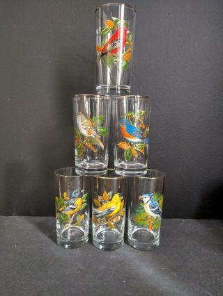 6 Vtg Song Bird Drinking Glasses Gold Trim Goldfinch Oriole Robin Cardinal,