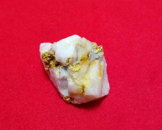 18.  2 Grams Natural Gold - In - Quartz Specimen