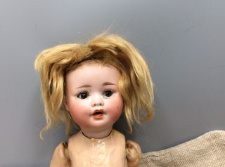 Bisque German Baby Doll Bisque Head Composition Body Sleep Eyes