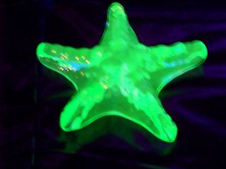 Vaseline Uranium Glass Star Fish Paper Weight Id937116
