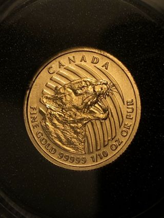 2016 Bu 1/10 Oz Canadian.  99999 Growling Cougar $20 Gold Coin In Assay