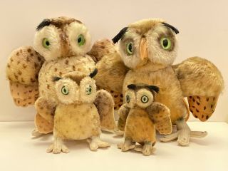 Steiff Wittie Owl Family Of 4 - Only One With Button