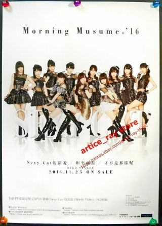 Morning Musume Soujanai Sexy Cat No Ensetsu 2016 Taiwan Promo Poster