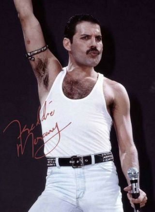 Freddie Mercury Signed 8 X 10 Photo - Reprint