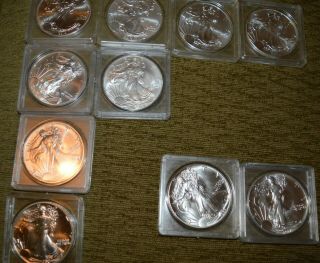 10 American Silver Eagles - 10 Oz.  Of Pure Silver - 5 Different Dates - Some Old