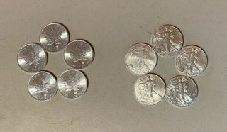 10oz Of Silver: American Eagle And Canadian Maple Leaf 1 Oz.  999 Fine Silver