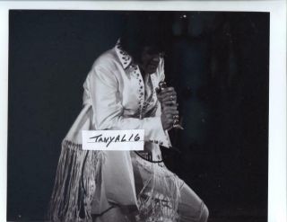 Elvis Presley Rare Action At The Los Angeles Forum Nov,  1970 Concert