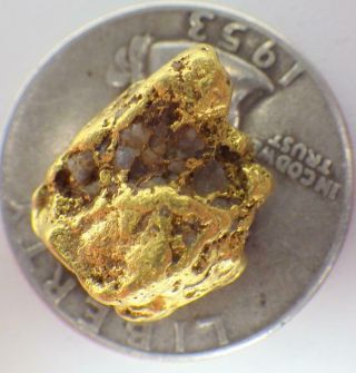 Gold Nugget Alaskan 7.  727 Grams Natural Placer Slate Creek High Purity