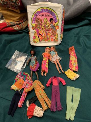 Topper Dawn Rock Flowers Doll Case,  Dolls And Clothes