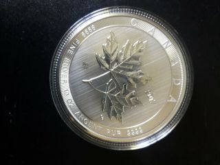 Canadian 9999 Fine Silver 10 Oz.  Coin