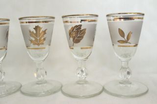 6 Vintage Cordial Stemmed Shot Glasses - Etched Frosted W/3 Gold Leaves Design