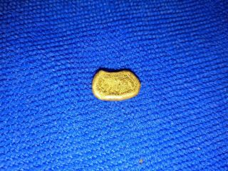 7.  9 gram Gold Nugget high purity 2