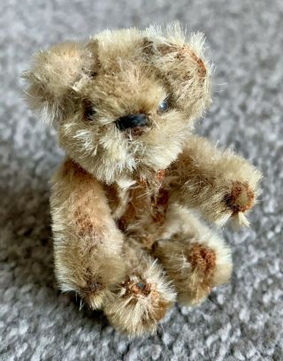 Vintage Miniature Tiny Schuco Mohair Tattered Teddy Bear 2.  5” Fully Jtd Nr Cute