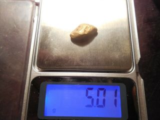 Huge Gold Nugget (5.  0 Grams) One Day Bid Tests At 22k