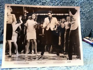 Nos 1964 Elvis Presley 8 " X 10  Viva Las Vegas " Photo