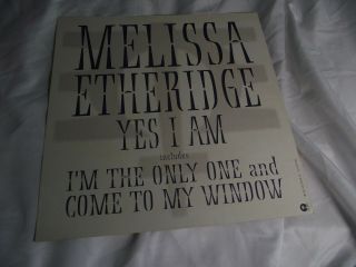 Melissa Etheridge Yes I Am 1993 Promo LP Record Photo Flat 12x12 Poster 3