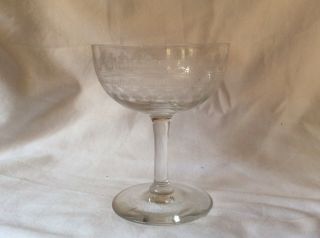 Rare Antique Fostoria Needle Etched Optic Crystal Champagne Glass