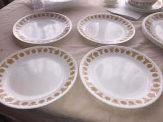 Corelle By Corning Golden Butterfly Salad Lunch Plates 8 1/4 " Set Of 4