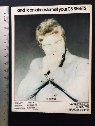 Van Morrison " T.  B.  Sheets " Rare 1973 11x14” Album Release Promo Ad