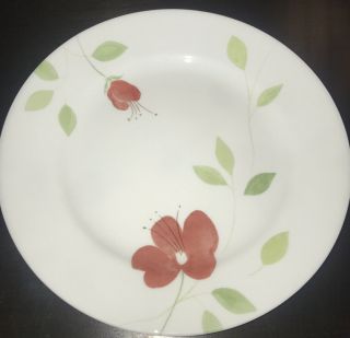 4 - Corelle Garden Paradise Luncheon Plates 8 - 1/2” Pink Floral Retired