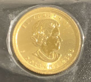 1/10 Ounce Gold.  9999 2020 Gold Royal Canadian Maple Coin - In Capsule