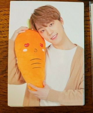SEVENTEEN DINO HARU JAPAN Tour Limited Official Photocard goods RARE SOLO CHAN 2