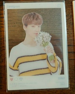 SEVENTEEN DINO HARU JAPAN Tour Limited Official Photocard goods RARE SOLO CHAN 3