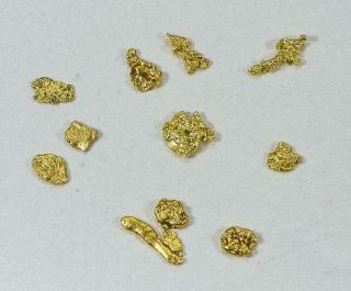 California Gold Nuggets 3 Grams Of 6 Mesh Gold Authentic Natural American River