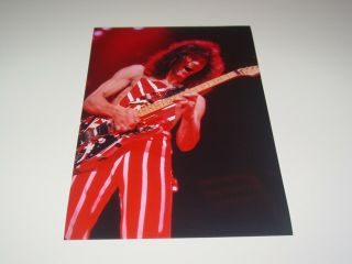 Van Halen 8x12 Photo Eddie Edward Rare Live Concert Diver Down Tour 1982 30