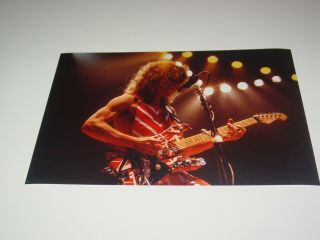 Van Halen 8x12 Photo Eddie Edward Rare Live Concert Diver Down Tour 1982 44