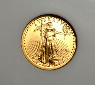 2002 G$5 1/10 Oz Gold American Eagle Ngc Ms 70 Top Grade Perfect Old Label