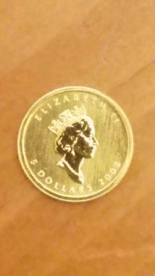 2002 1/10 Oz Canadian Gold Maple Leaf $5 Coin -