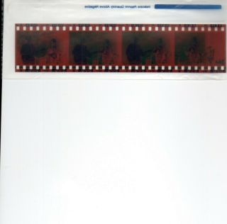 Traffic Steve Winwood Color 35mm Negatives 303