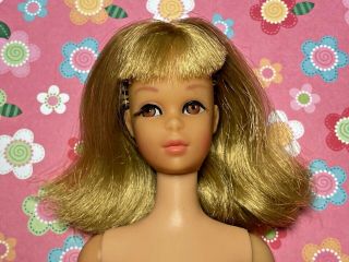 Vintage Barbie Gorgeous Blonde Bend Leg Francie Doll Tlc Head Body