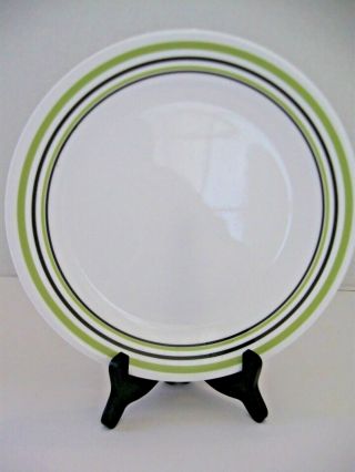 Corelle Garden Sketch Dinner Plate 10 1/4 " Green Stripe Bands Discontinued