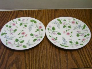 Set Of 2 Corelle Delicate Array Bread And Butter / Dessert Plates 7 1/4 "