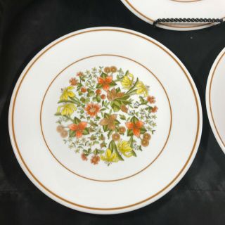 Set of 3 Vintage CORELLE Corning INDIAN SUMMER Salad Plates 2